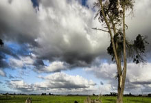 武汉会所背后暗藏复杂门道？老陈亲身经历给你讲明白