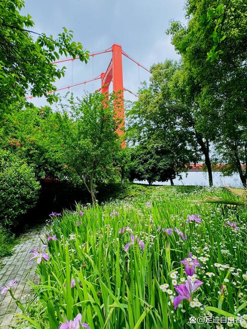 武汉休闲指南_武汉休闲指南_武汉休闲指南