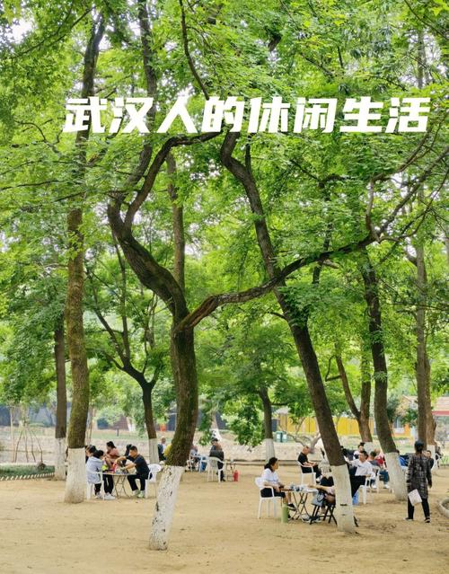 武汉休闲屋2020_武汉休闲屋_武汉休闲怎么样
